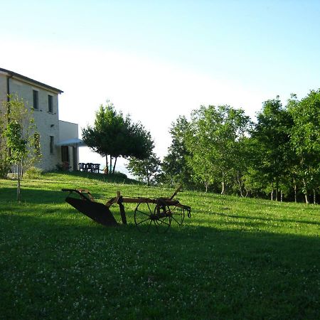 Apartament Bb Fonterrante Monterubbiano Zewnętrze zdjęcie